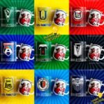 DISEÑOS FOTO PARA TAZAS FUTBOL CHILE 1ERA B - Image 2