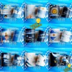 Plantillas Fiestas Patrias Argentina Tazas