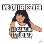 Vector Meme Me quieres ver la cara de estúpida para Sublimación