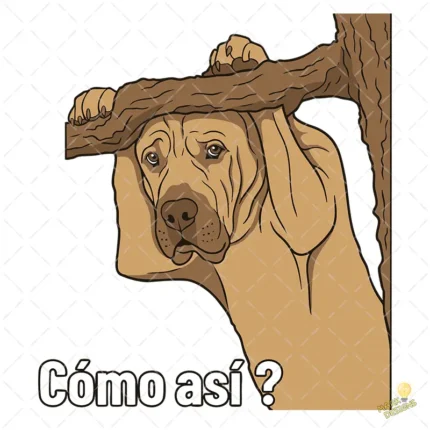 Vector Perro Confundido Cómo Así Meme Diseño para Sublimación